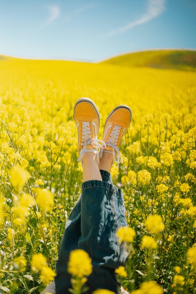 a person laying in a field of yellow flowers